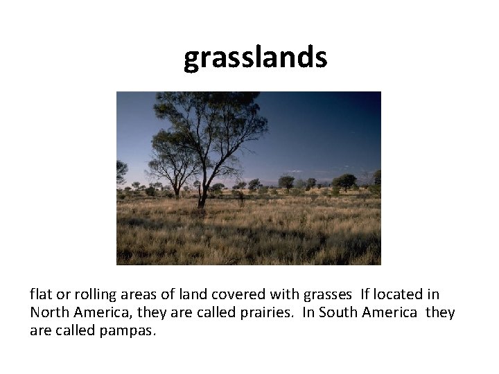 grasslands flat or rolling areas of land covered with grasses If located in North