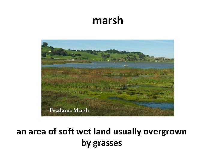 marsh an area of soft wet land usually overgrown by grasses 