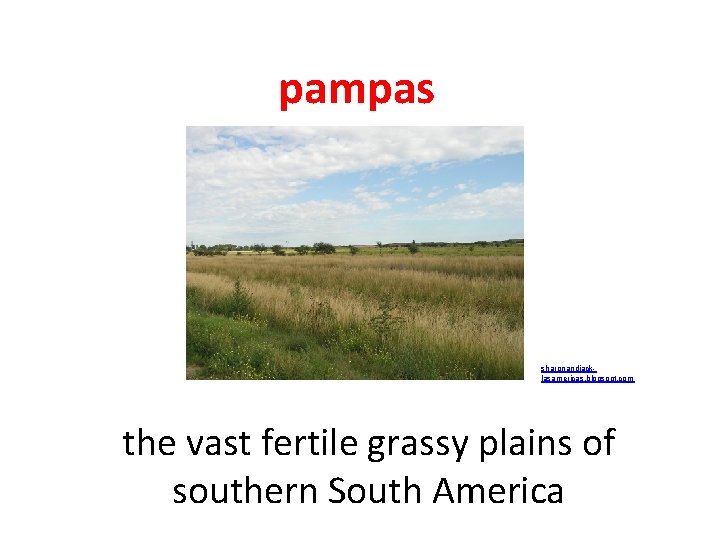 pampas sharonandjacklasamericas. blogspot. com the vast fertile grassy plains of southern South America 