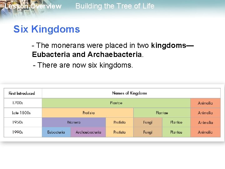 Lesson Overview Building the Tree of Life Six Kingdoms - The monerans were placed
