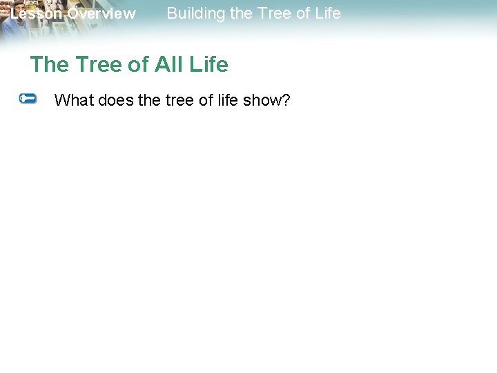 Lesson Overview Building the Tree of Life The Tree of All Life What does