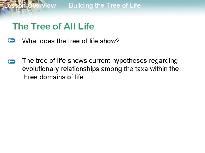 Lesson Overview Building the Tree of Life The Tree of All Life What does