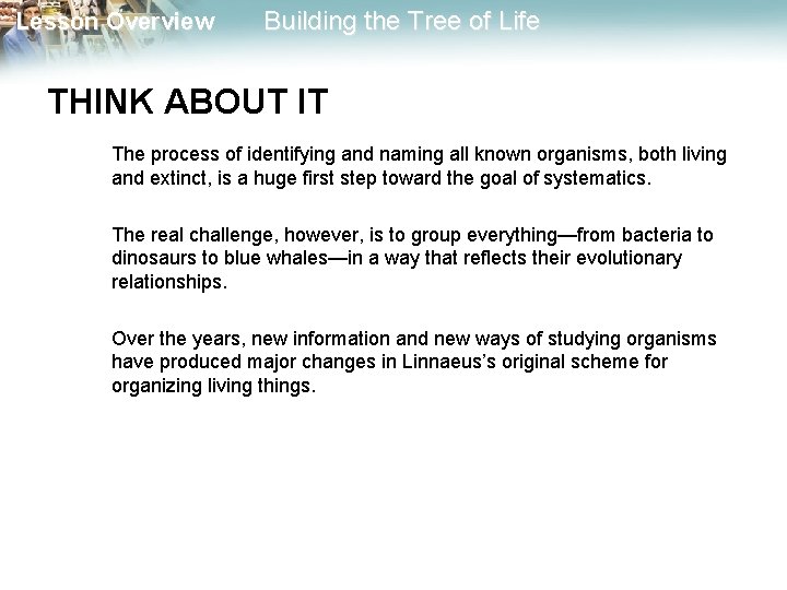 Lesson Overview Building the Tree of Life THINK ABOUT IT The process of identifying