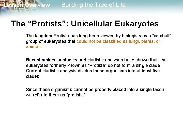 Lesson Overview Building the Tree of Life The “Protists”: Unicellular Eukaryotes The kingdom Protista