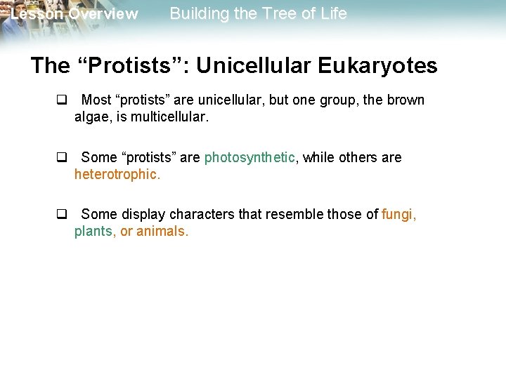 Lesson Overview Building the Tree of Life The “Protists”: Unicellular Eukaryotes q Most “protists”