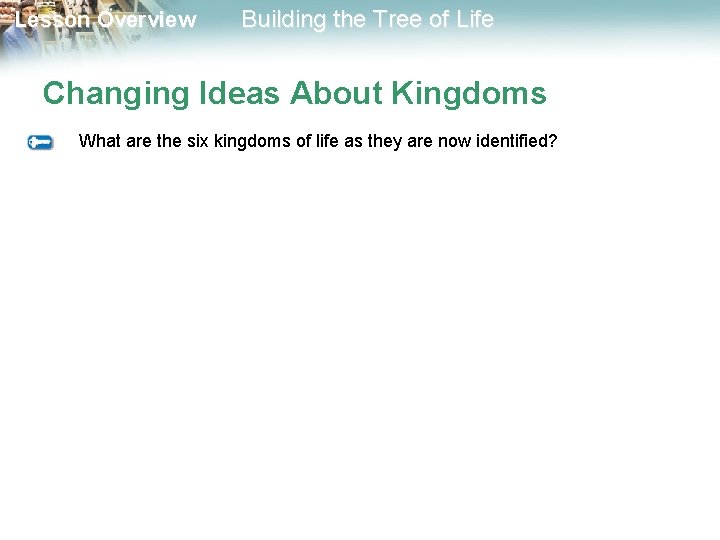 Lesson Overview Building the Tree of Life Changing Ideas About Kingdoms What are the