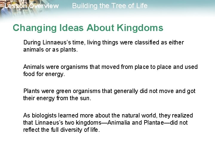 Lesson Overview Building the Tree of Life Changing Ideas About Kingdoms During Linnaeus’s time,