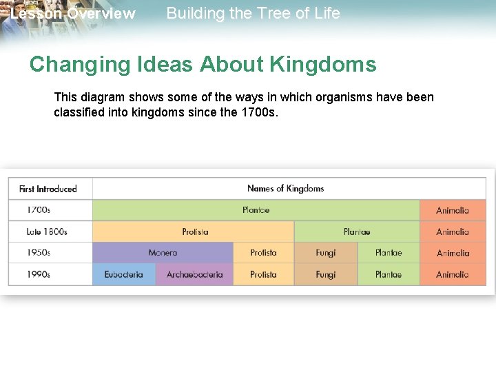 Lesson Overview Building the Tree of Life Changing Ideas About Kingdoms This diagram shows
