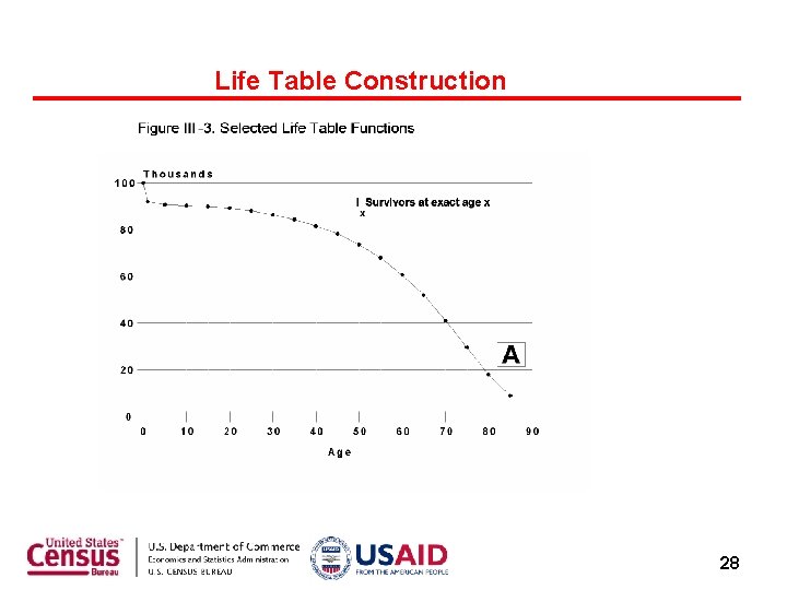 Life Table Construction 28 