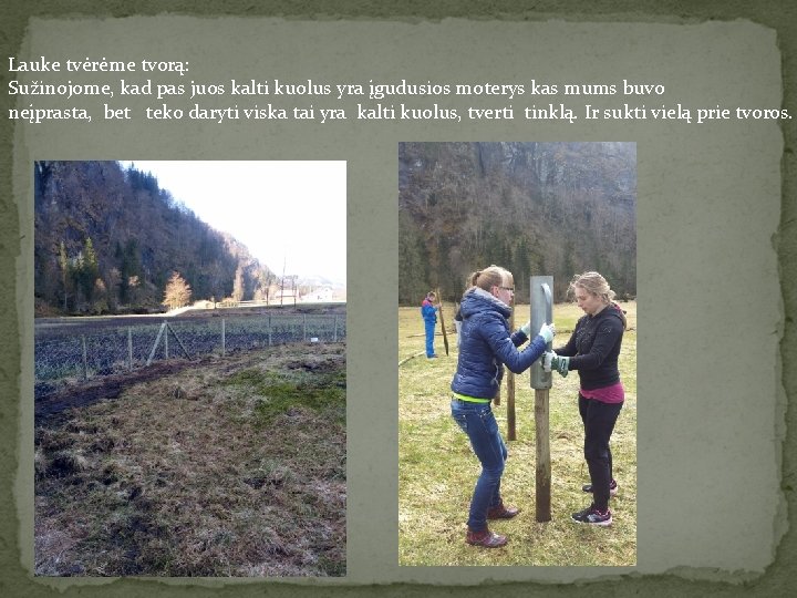 Lauke tvėrėme tvorą: Sužinojome, kad pas juos kalti kuolus yra įgudusios moterys kas mums