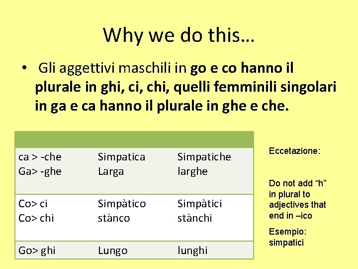 Why we do this… • Gli aggettivi maschili in go e co hanno il