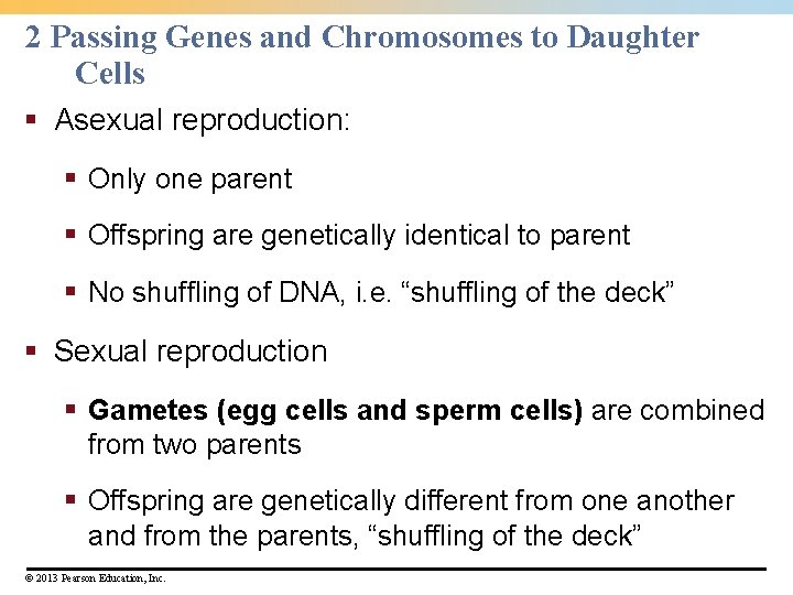 2 Passing Genes and Chromosomes to Daughter Cells § Asexual reproduction: § Only one 2 Passing Genes and Chromosomes to Daughter Cells § Asexual reproduction: § Only one