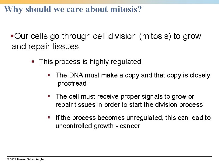 Why should we care about mitosis? §Our cells go through cell division (mitosis) to Why should we care about mitosis? §Our cells go through cell division (mitosis) to