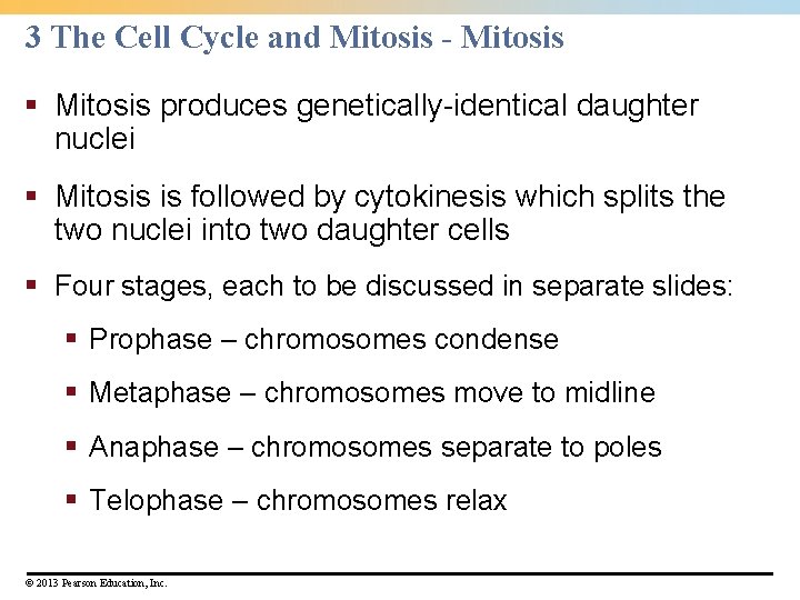 3 The Cell Cycle and Mitosis - Mitosis § Mitosis produces genetically-identical daughter nuclei 3 The Cell Cycle and Mitosis - Mitosis § Mitosis produces genetically-identical daughter nuclei