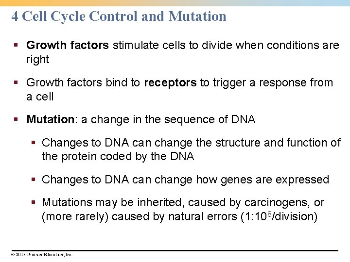 4 Cell Cycle Control and Mutation § Growth factors stimulate cells to divide when 4 Cell Cycle Control and Mutation § Growth factors stimulate cells to divide when