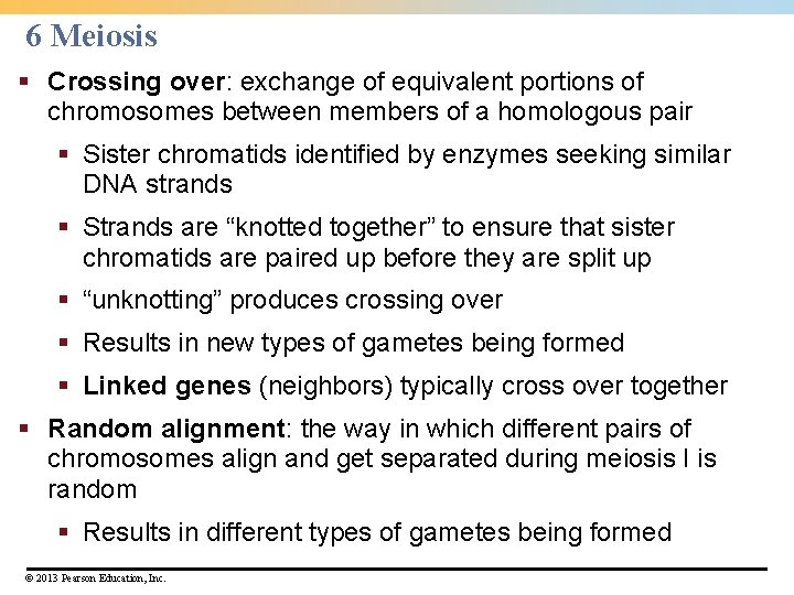 6 Meiosis § Crossing over: exchange of equivalent portions of chromosomes between members of 6 Meiosis § Crossing over: exchange of equivalent portions of chromosomes between members of