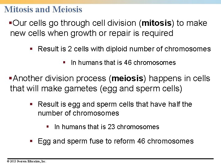Mitosis and Meiosis §Our cells go through cell division (mitosis) to make new cells Mitosis and Meiosis §Our cells go through cell division (mitosis) to make new cells