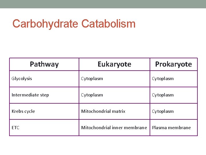 Carbohydrate Catabolism Pathway Eukaryote Prokaryote Glycolysis Cytoplasm Intermediate step Cytoplasm Krebs cycle Mitochondrial matrix