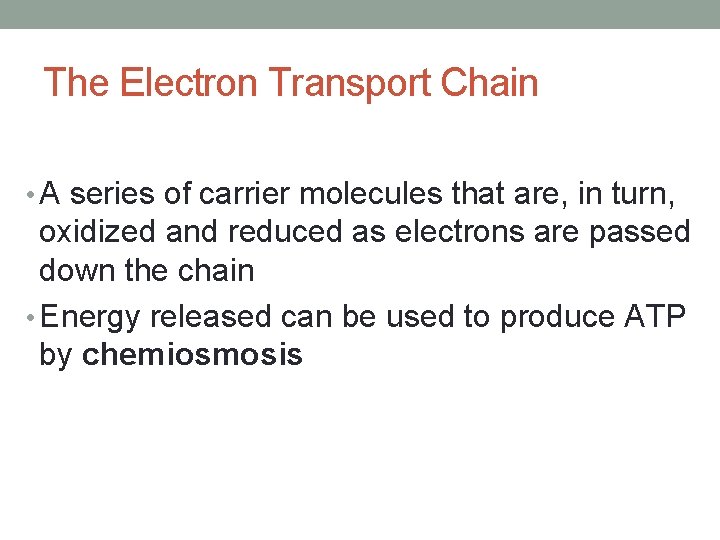 The Electron Transport Chain • A series of carrier molecules that are, in turn,