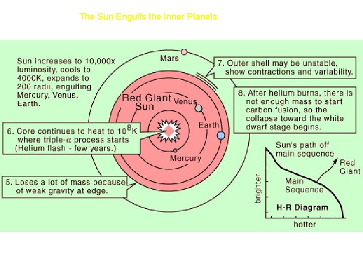 The Sun Engulfs the Inner Planets 