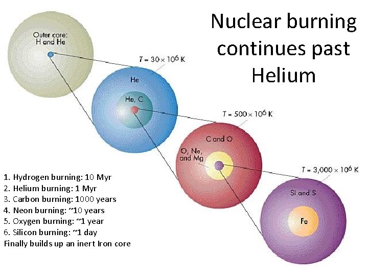 Nuclear burning continues past Helium 1. Hydrogen burning: 10 Myr 2. Helium burning: 1