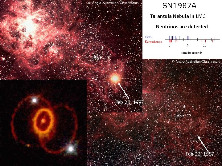 SN 1987 A Tarantula Nebula in LMC Neutrinos are detected Feb 23, 1987 Feb