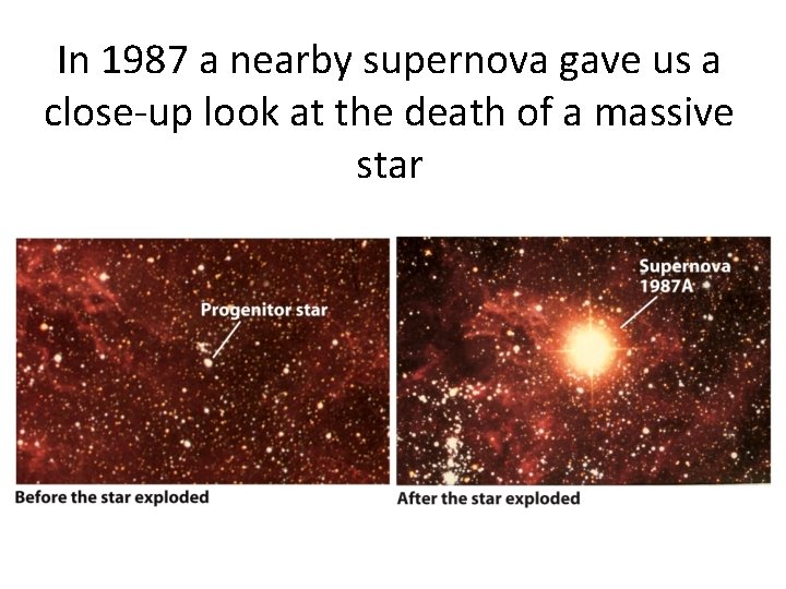 In 1987 a nearby supernova gave us a close-up look at the death of