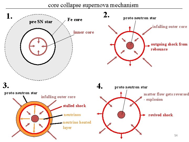 core collapse supernova mechanism 1. pre SN star 2. Fe core proto neutron star