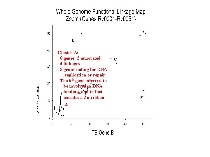 D E Cluster A: 6 genes; 5 annotated 4 linkages 5 genes coding for