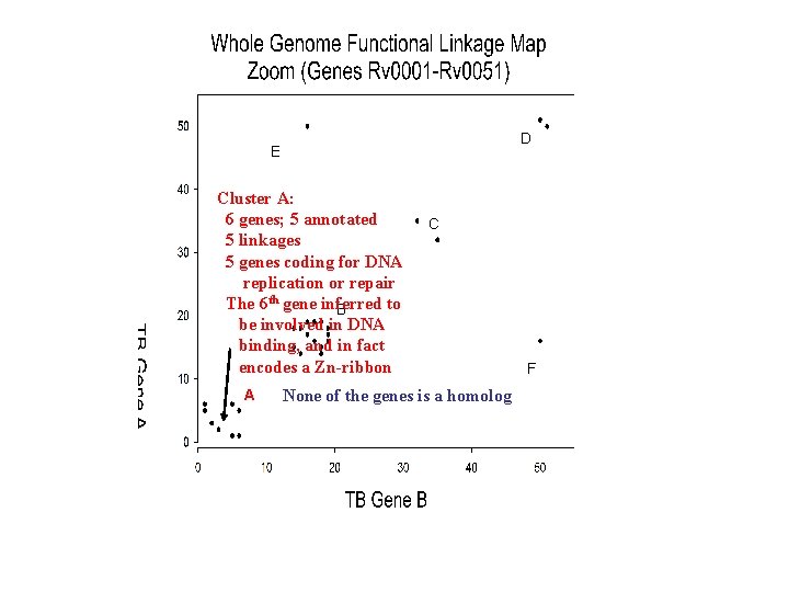 D E Cluster A: 6 genes; 5 annotated 5 linkages 5 genes coding for