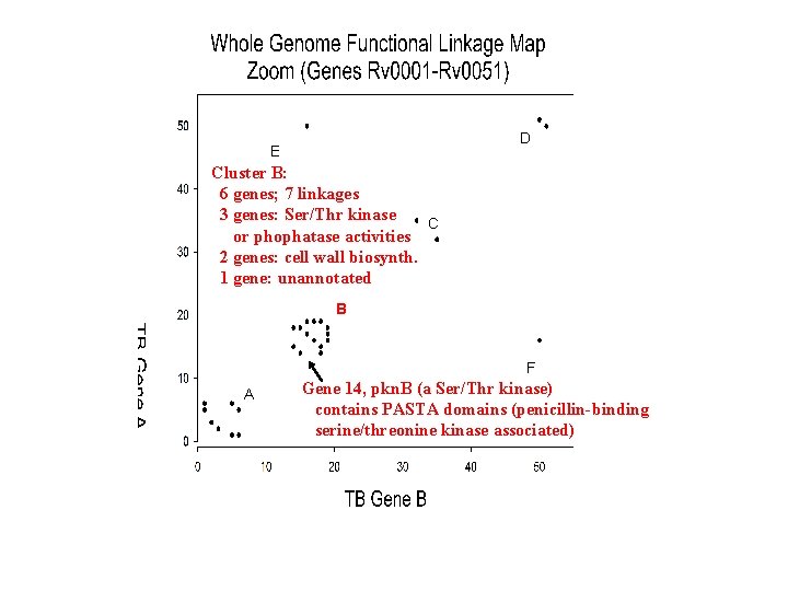 D E Cluster B: 6 genes; 7 linkages 3 genes: Ser/Thr kinase C or