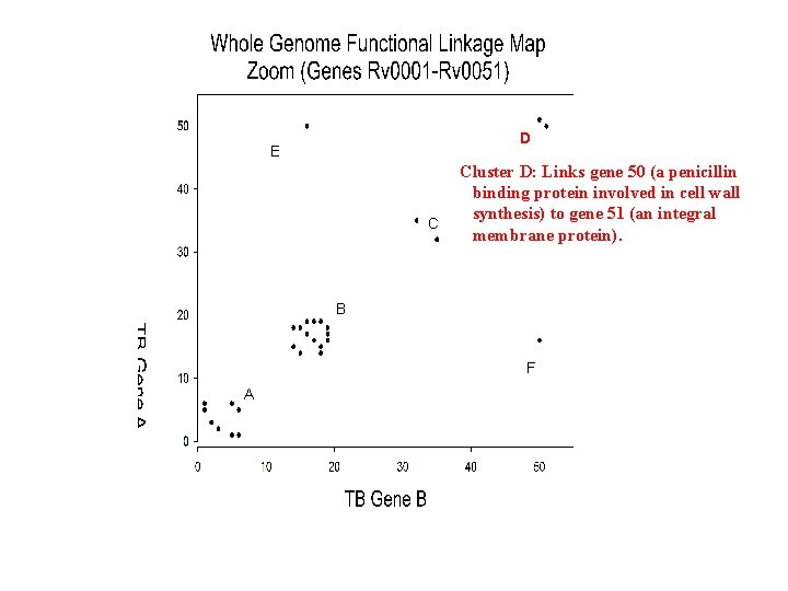 D E C Cluster D: Links gene 50 (a penicillin binding protein involved in