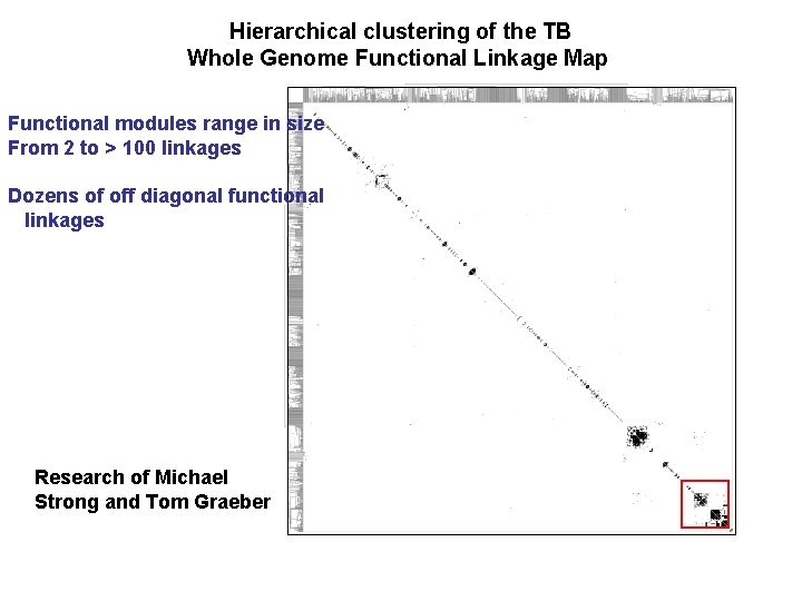 Hierarchical clustering of the TB Whole Genome Functional Linkage Map Functional modules range in