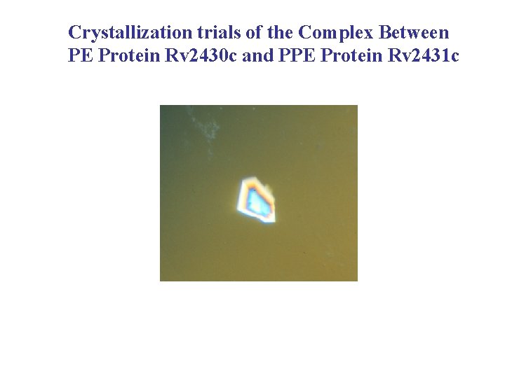 Crystallization trials of the Complex Between PE Protein Rv 2430 c and PPE Protein