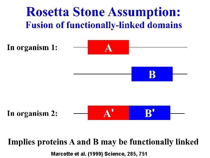 Marcotte et al. (1999) Science, 285, 751 