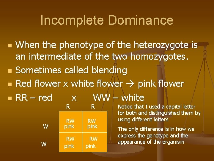 Incomplete Dominance n n When the phenotype of the heterozygote is an intermediate of