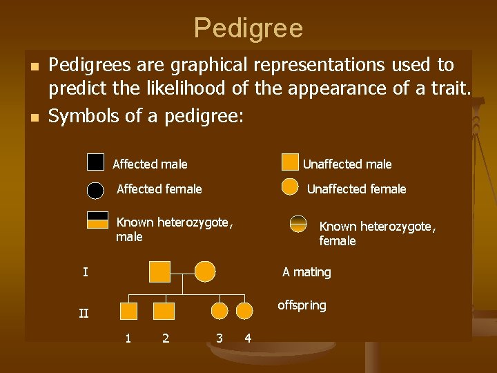 Pedigree n n Pedigrees are graphical representations used to predict the likelihood of the