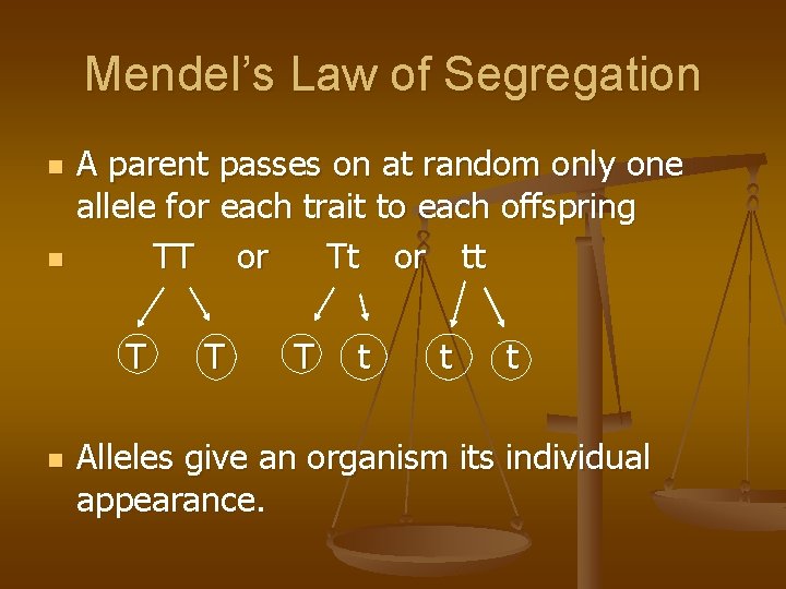 Mendel’s Law of Segregation n n A parent passes on at random only one