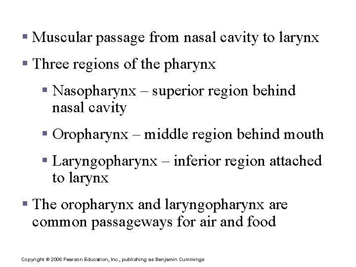 Pharynx (Throat) § Muscular passage from nasal cavity to larynx § Three regions of Pharynx (Throat) § Muscular passage from nasal cavity to larynx § Three regions of