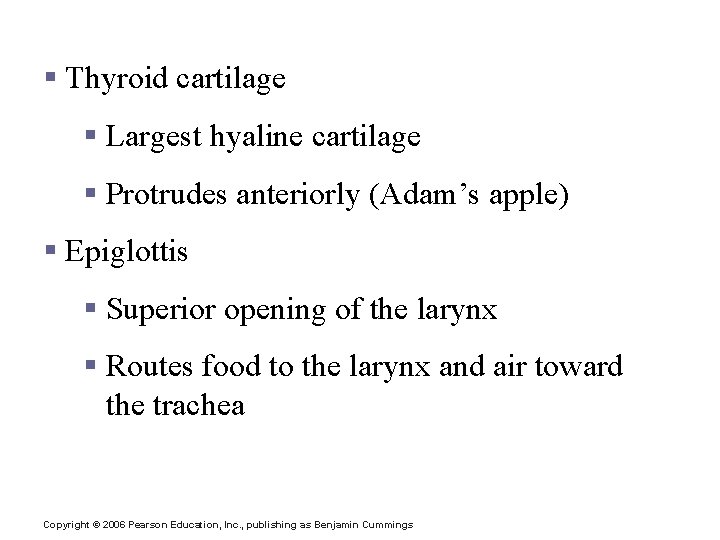 Structures of the Larynx § Thyroid cartilage § Largest hyaline cartilage § Protrudes anteriorly Structures of the Larynx § Thyroid cartilage § Largest hyaline cartilage § Protrudes anteriorly