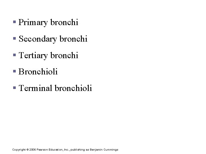 Respiratory Tree Divisions § Primary bronchi § Secondary bronchi § Tertiary bronchi § Bronchioli Respiratory Tree Divisions § Primary bronchi § Secondary bronchi § Tertiary bronchi § Bronchioli