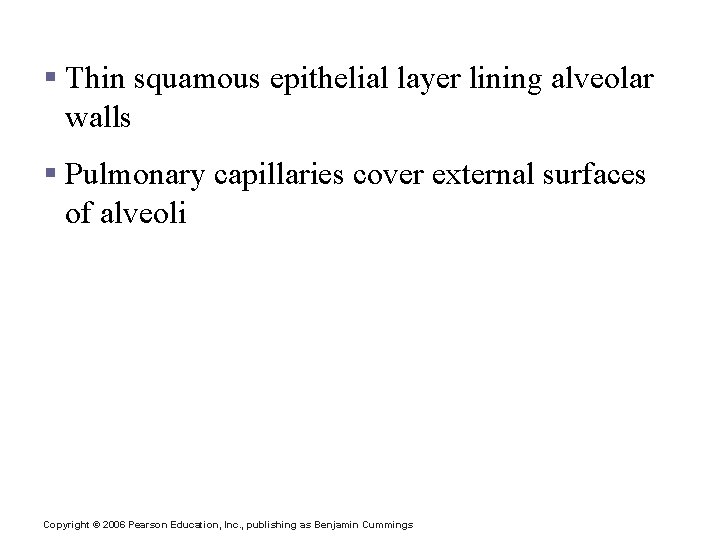 Respiratory Membrane (Air-Blood Barrier) § Thin squamous epithelial layer lining alveolar walls § Pulmonary Respiratory Membrane (Air-Blood Barrier) § Thin squamous epithelial layer lining alveolar walls § Pulmonary