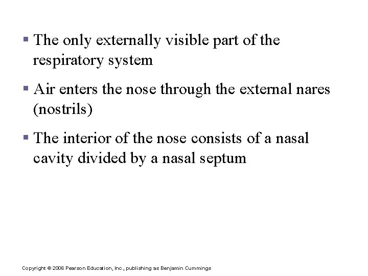 The Nose § The only externally visible part of the respiratory system § Air The Nose § The only externally visible part of the respiratory system § Air