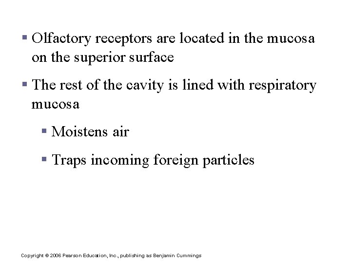 Anatomy of the Nasal Cavity § Olfactory receptors are located in the mucosa on Anatomy of the Nasal Cavity § Olfactory receptors are located in the mucosa on