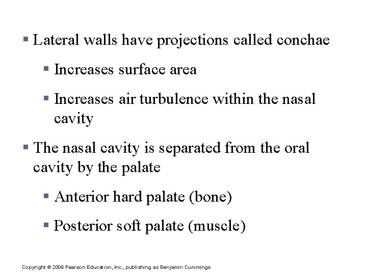 Anatomy of the Nasal Cavity § Lateral walls have projections called conchae § Increases Anatomy of the Nasal Cavity § Lateral walls have projections called conchae § Increases