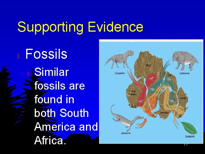 Supporting Evidence l Fossils l Similar fossils are found in both South America and