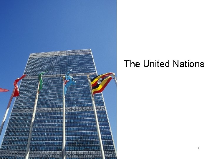 The United Nations 7 
