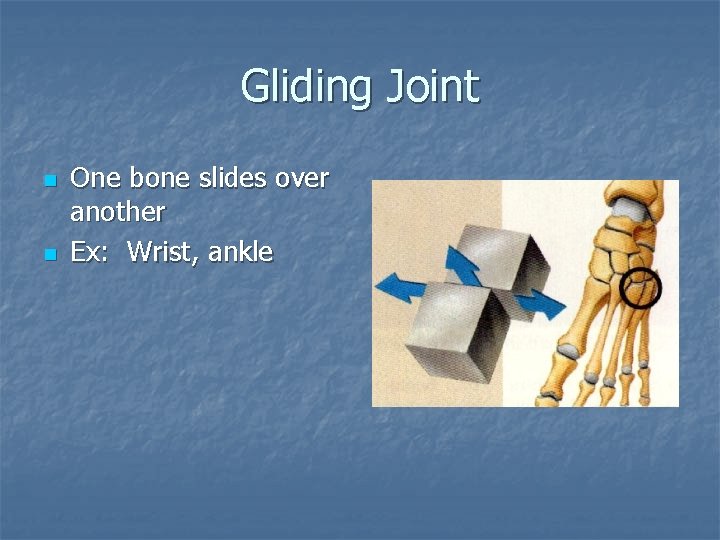 Gliding Joint n n One bone slides over another Ex: Wrist, ankle 