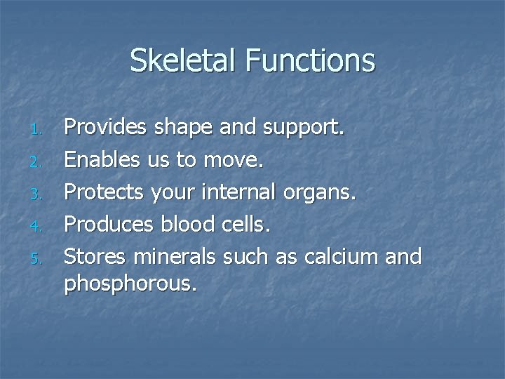 Skeletal Functions 1. 2. 3. 4. 5. Provides shape and support. Enables us to