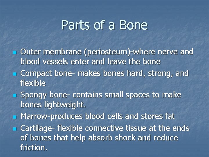 Parts of a Bone n n n Outer membrane (periosteum)-where nerve and blood vessels